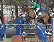 Govoni Winn Winn TosTour 2013- S4 6485 : Arezzo Equestrian Centre, Govoni Gianni, Toscana Tour 2013, Winn Winn, foto di Stefano Secchi ©